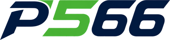 p566 gaming platform logo